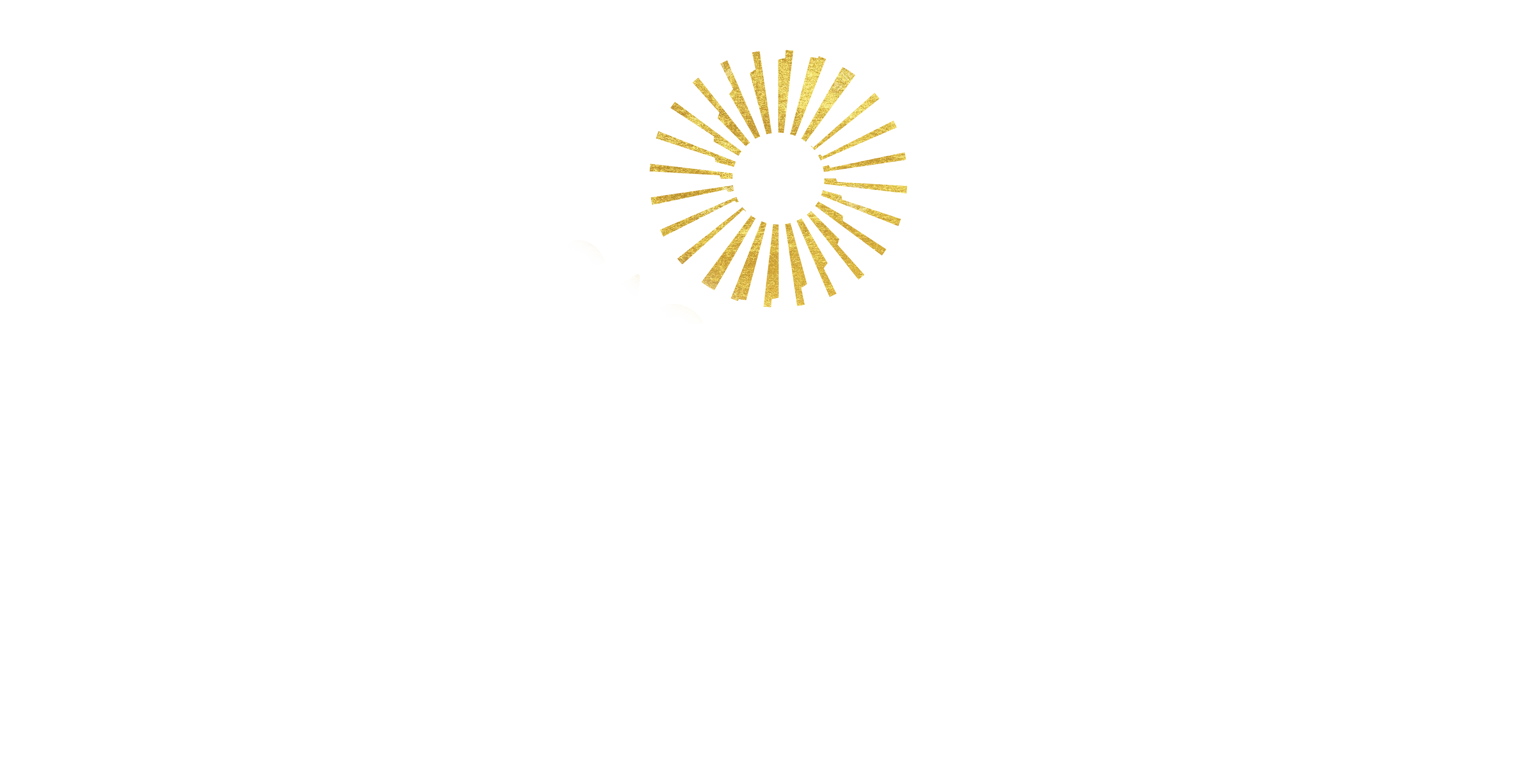 SDG Logo